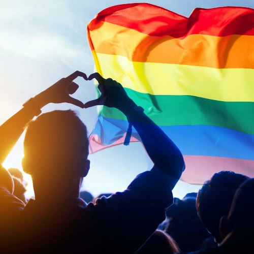 What are LGBTQIA+ Therapy Services