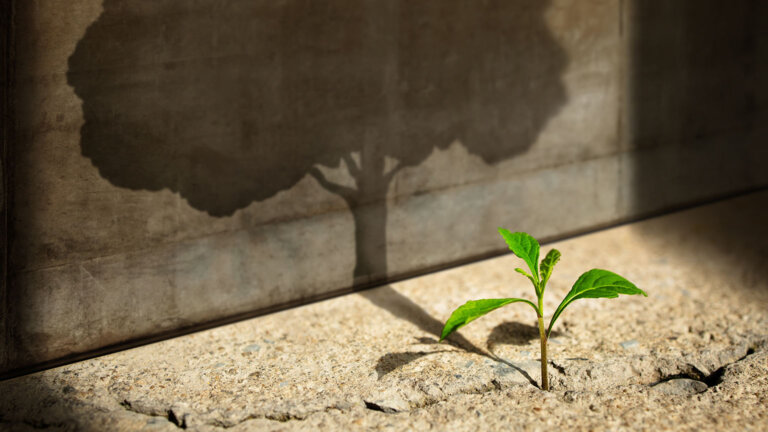 The Truth About Depression No One Talks About – and Strategies to Help Break Free