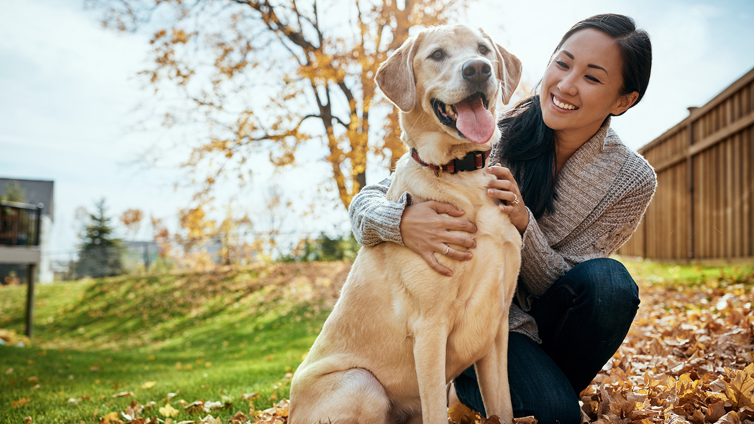 Why Pets Are So Good for Your Mental Health